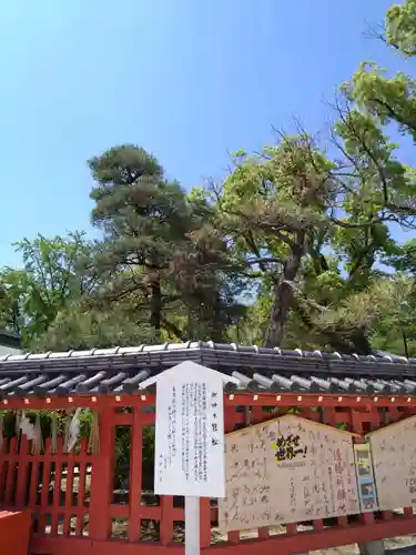 筥崎宮(福岡県)