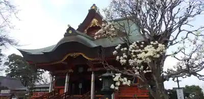 布施弁天 東海寺の本殿・本堂