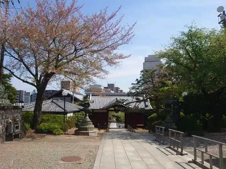 護国寺の山門・神門