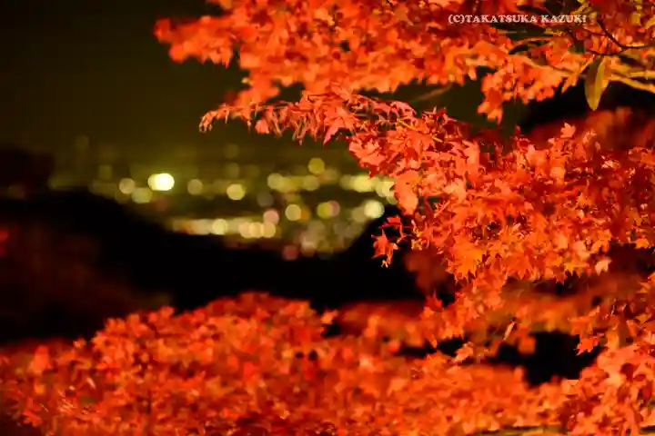 大山寺(神奈川県)