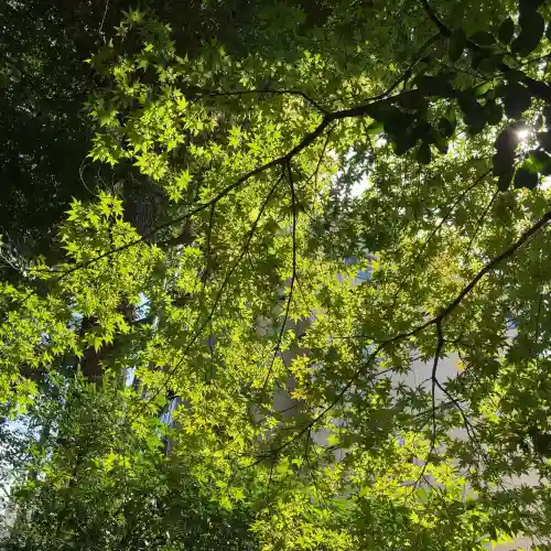 荻窪白山神社(東京都)