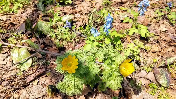 浦臼神社(北海道)