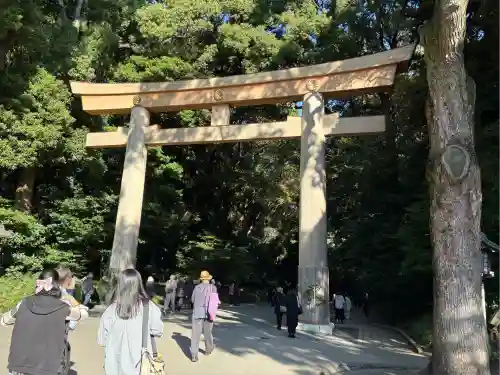 明治神宮(東京都)