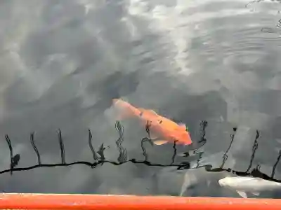 息栖神社(茨城県)