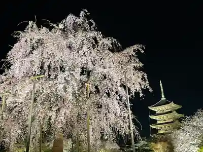 東寺（教王護国寺）(京都府)