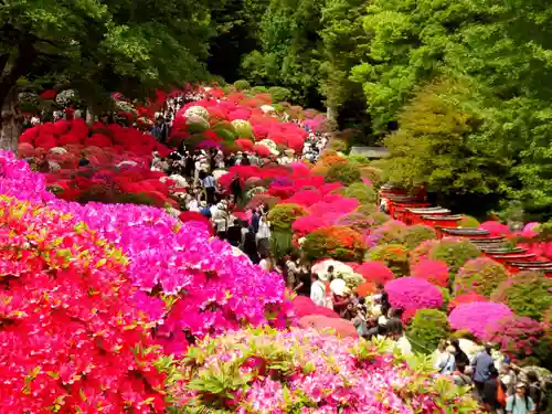 根津神社の庭園