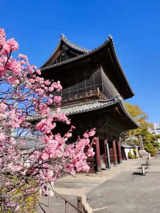 建中寺の山門・神門
