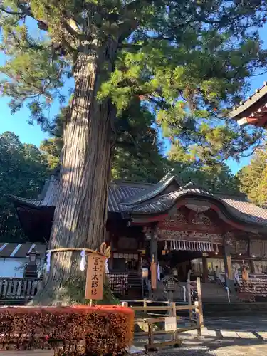 北口本宮冨士浅間神社の本殿