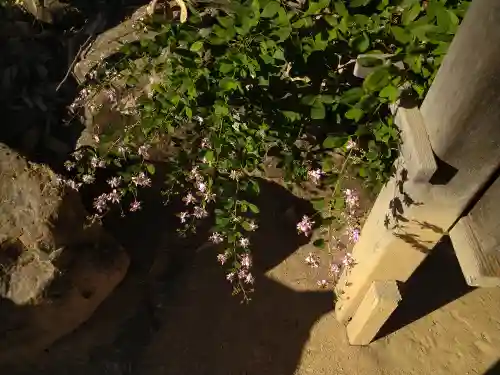 阿智神社の末社・摂社