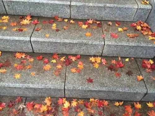 武蔵御嶽神社の自然