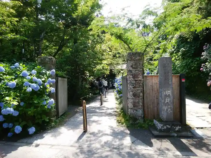 明月院(神奈川県)