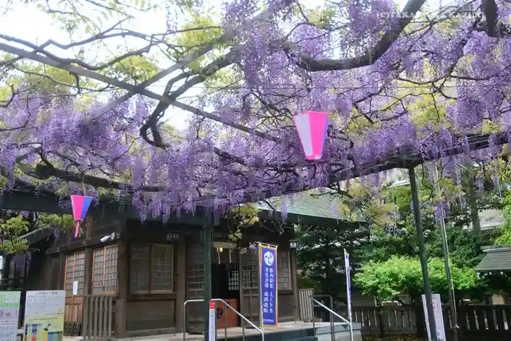 國領神社の自然