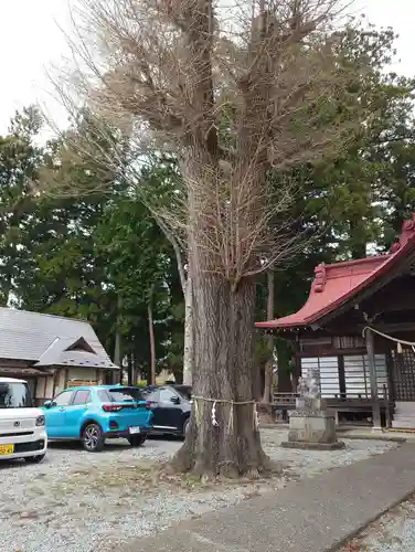浅間日月神社(山梨県)
