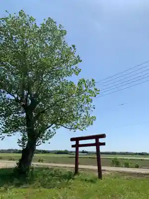稲荷神社(千葉県)