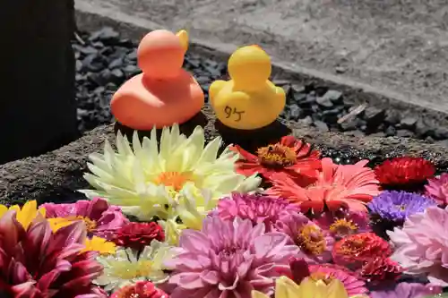 大鏑神社の手水舎