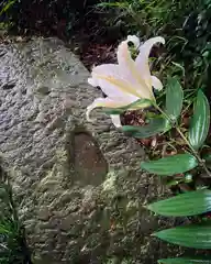 滑川神社 - 仕事と子どもの守り神の自然