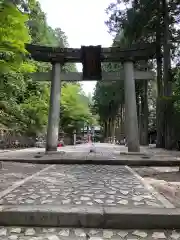 日枝神社の鳥居