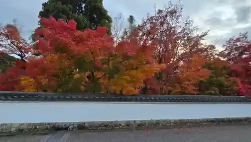 禅林寺（永観堂）(京都府)