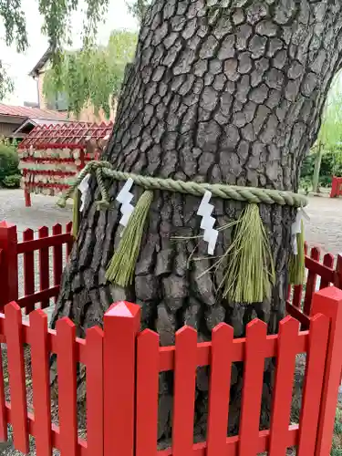 鴻神社の庭園