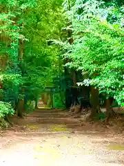 胎安神社(茨城県)