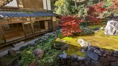 古知谷阿弥陀寺(京都府)