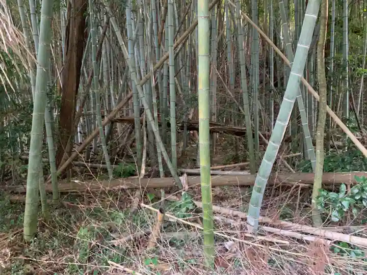 熊野神社(千葉県)