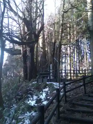 銀杏山神社の自然