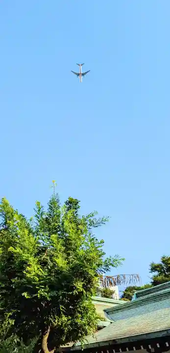 白金氷川神社の景色