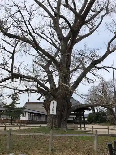 勝興寺(富山県)