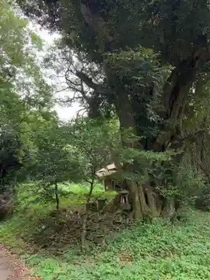 観音堂(千葉県)