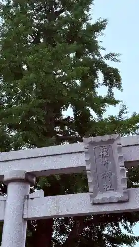 福井神社(福井県)