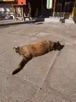 佐佳枝廼社の動物