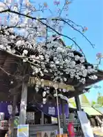 下庄八幡神社(福岡県)