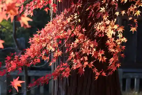 国宝 大法寺の景色