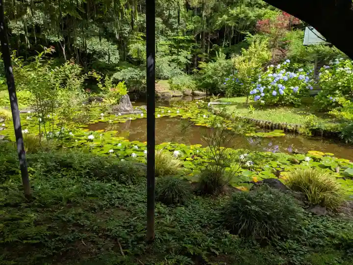 本土寺(千葉県)