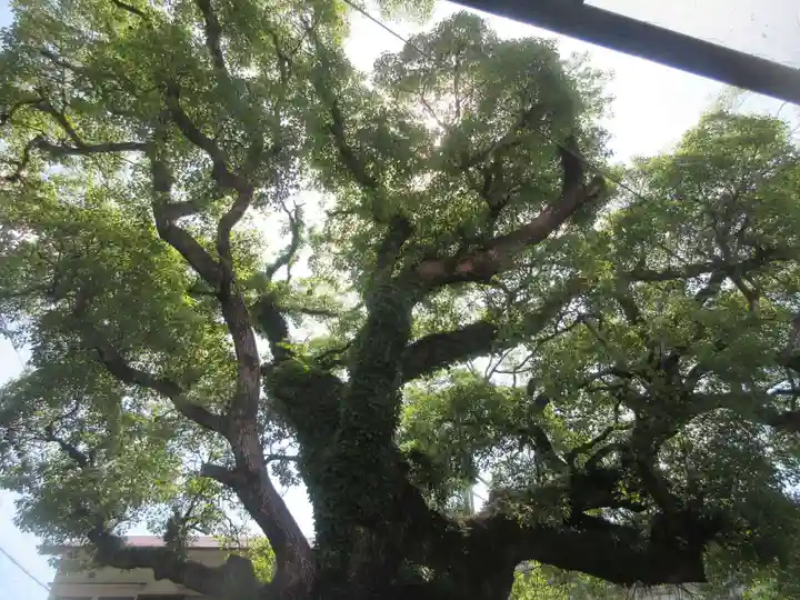 五所神社(神奈川県)