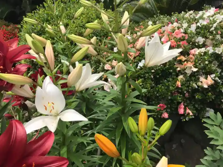 延命寺(神奈川県)