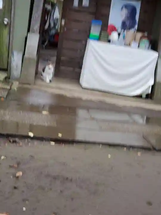 戸越八幡神社の本殿・本堂