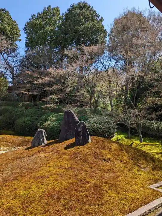 光明院(光明禅院)(京都府)