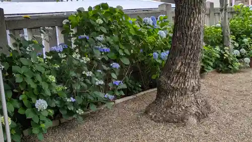 三社神社(大阪府)