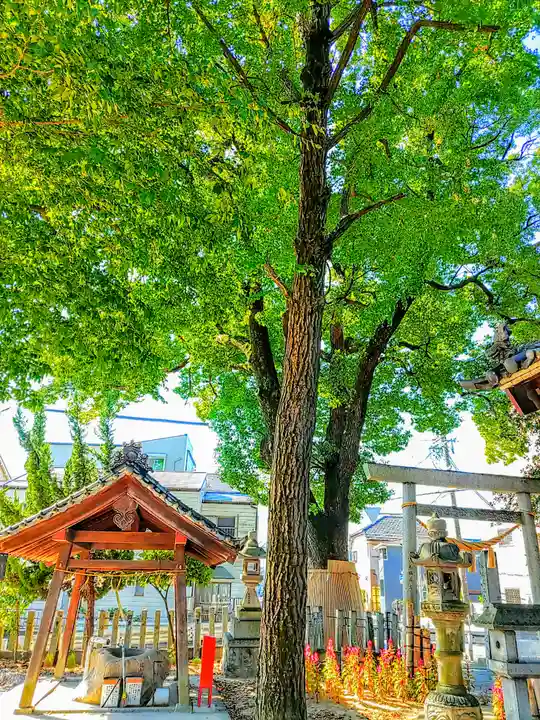 白山神社の自然