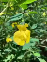 十二山神社(群馬県)