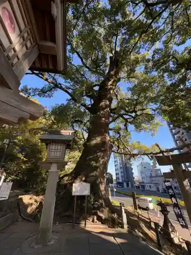 北岡神社(熊本県)
