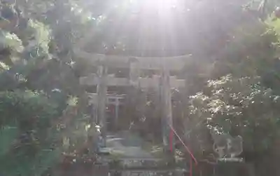 石穴稲荷神社の鳥居