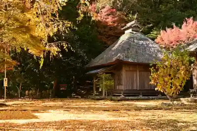 禅蔵寺(愛媛県)