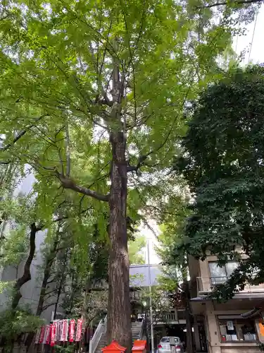 朝日神社のその他建物