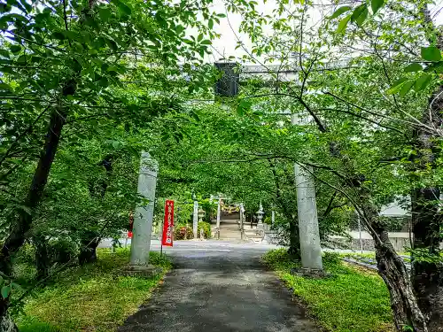 諏訪神社の鳥居