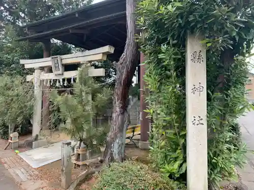 縣神社の鳥居