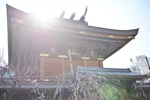 湯島天満宮の本殿・本堂