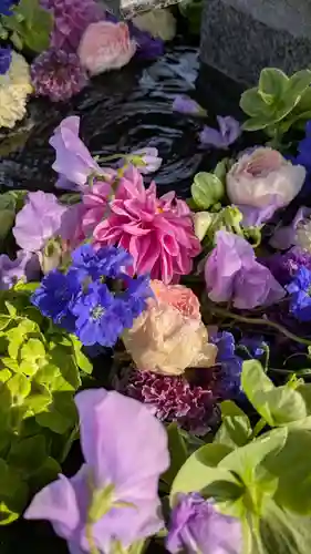 新琴似神社(北海道)